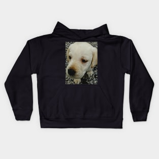 Puppies Kids Hoodie